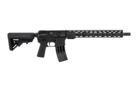 fr16 300hbar 15rpr 1.jpg