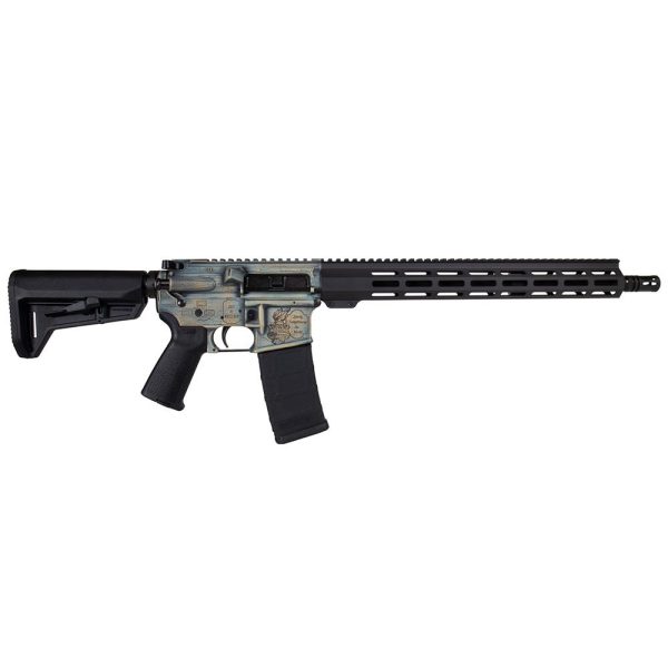 https3a2f2fmedia.chattanoogashooting.com2fimages2fproduct2fzc3001311000242fladylibertyar r.jpg