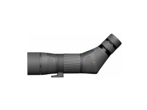 lp177599b2a4.jpg