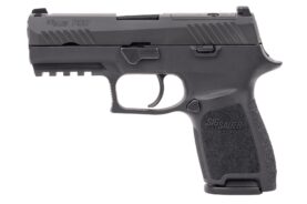p320cmpt0315.jpg
