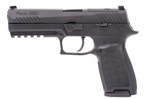 p320full6928.jpg
