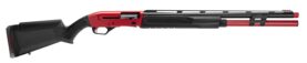 renegaugecompetition2961ef67.jpg