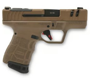 sar9scbrz064a.jpg