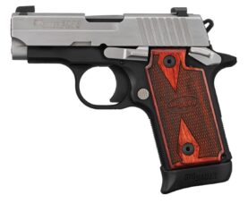 238txr3835c.jpg