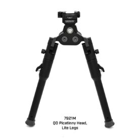 7921m08d8.jpg