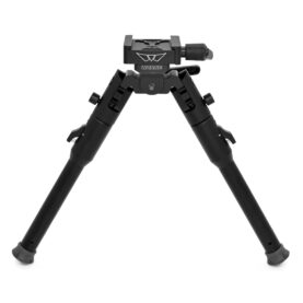 arcabipod9710.jpg