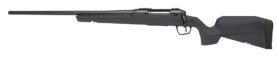 axis2graylabbe 1.jpg