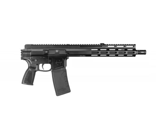 fm15 223 g2 12.5m 2pf 4.jpg