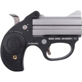https3a2f2fmedia.chattanoogashooting.com2fimages2fproduct2fbebast22lr2fbebast22lr 1 1.jpg