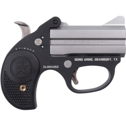 https3a2f2fmedia.chattanoogashooting.com2fimages2fproduct2fbebast22lr2fbebast22lr 1 1.jpg