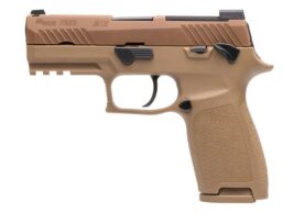 p320m18caccb9 1.jpg