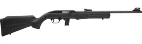 rossi rifles rs22l1811 r 8.jpeg