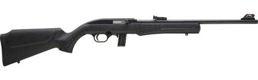 rossi rifles rs22l1811 r 8.jpeg