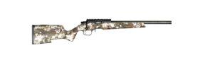subalpine14d1.jpg