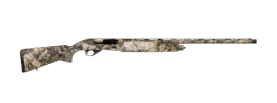 061687d2b.png