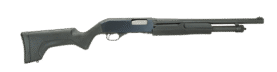 19486.png