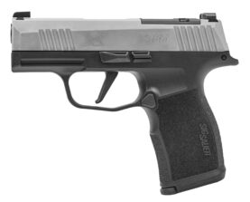 365x9sxr3p2962.jpg