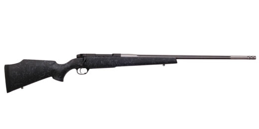accumarkmain21f9.jpg