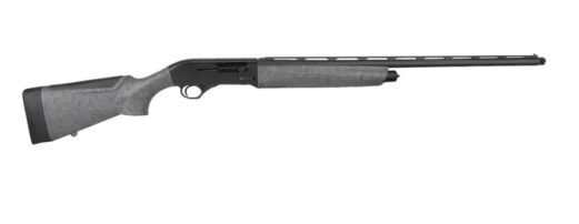 bej32sgs101119.jpg
