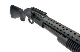 ctls 250g.jpg