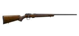 cz02310.jpg