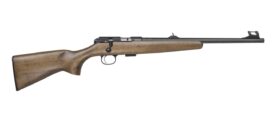 cz02335.jpg