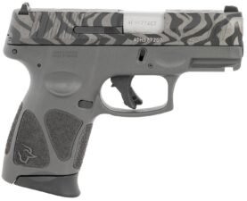 grayzebraa5c3.jpg