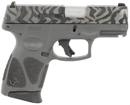 grayzebraa5c3.jpg