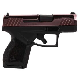 https3a2f2fmedia.chattanoogashooting.com2fimages2fproduct2ftx1gx4m93110rg2ftx1gx4m93110rg 1.jpg
