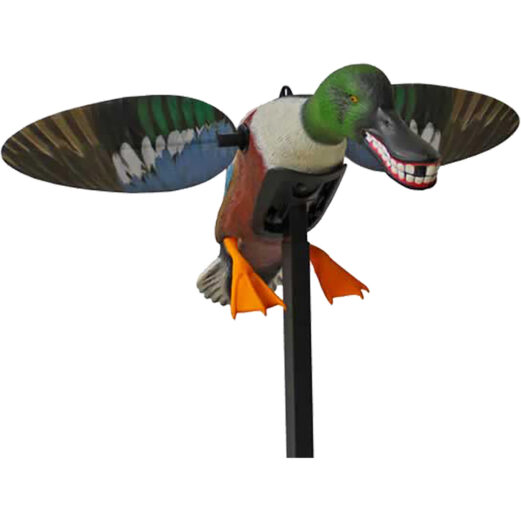 1001495 1.jpg