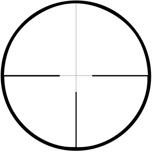 1003596 3.jpg