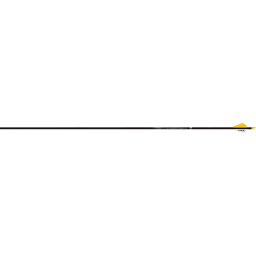 1004341 1.jpg