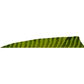 1406969 1.jpg