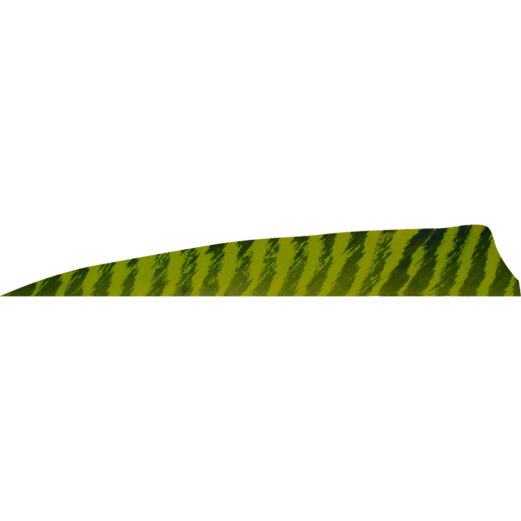 1406969 1.jpg
