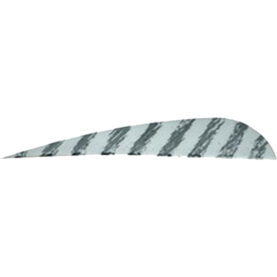 27497 1.jpg