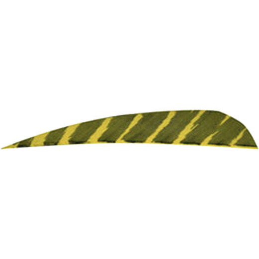 27499 1.jpg