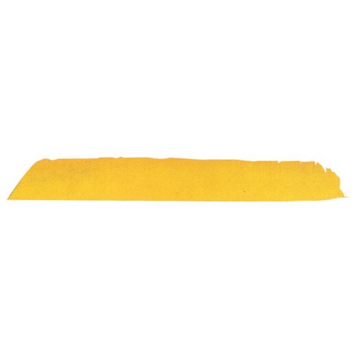8589 1.jpg