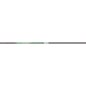 v420250 1.jpg