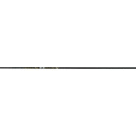 v710300 1.jpg
