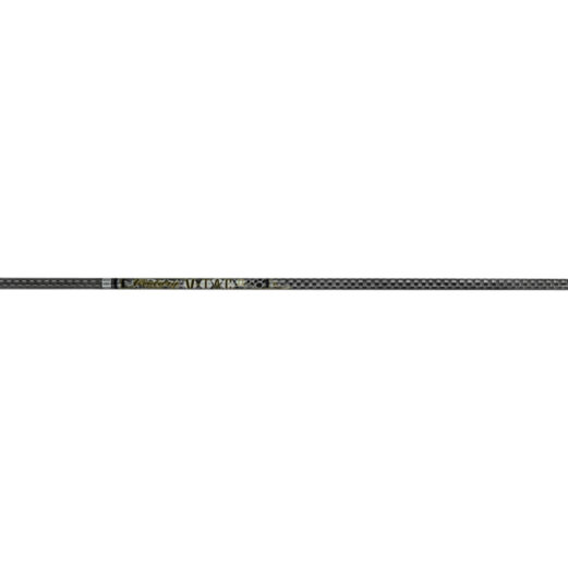 v850480 1.jpg