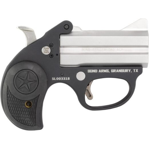 https3a2f2fmedia.chattanoogashooting.com2fimages2fproduct2fbebasl380acp2fbebasl380acp 2.jpg