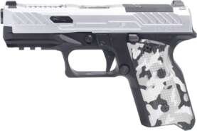 gxf9c10.jpg