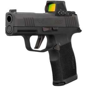 P365X 9MM LUGER 3.1'' (2)12RD MAG XRAY3 SIGHTS W/ROMEO-RS BLK