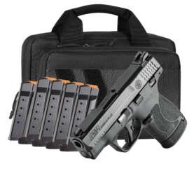SMITH AND WESSON SHIELD PLUS 9MM 3.1" 13+1 PKG