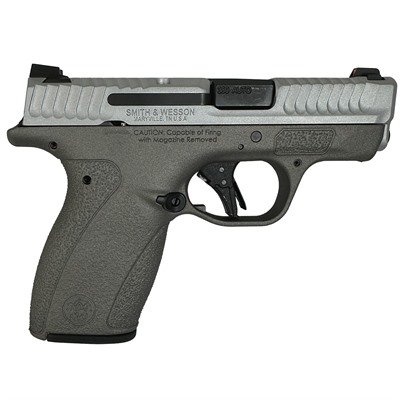 BODYGUARD 2.0 380ACP (1)10&(1)12 MAGS NTS SATIN GUN METAL