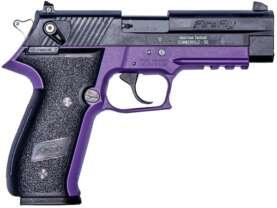 GSG FIREFLY HGA 22LR 4" 10RD PUR
